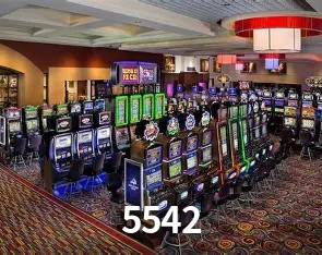 Flash Promotion 5542